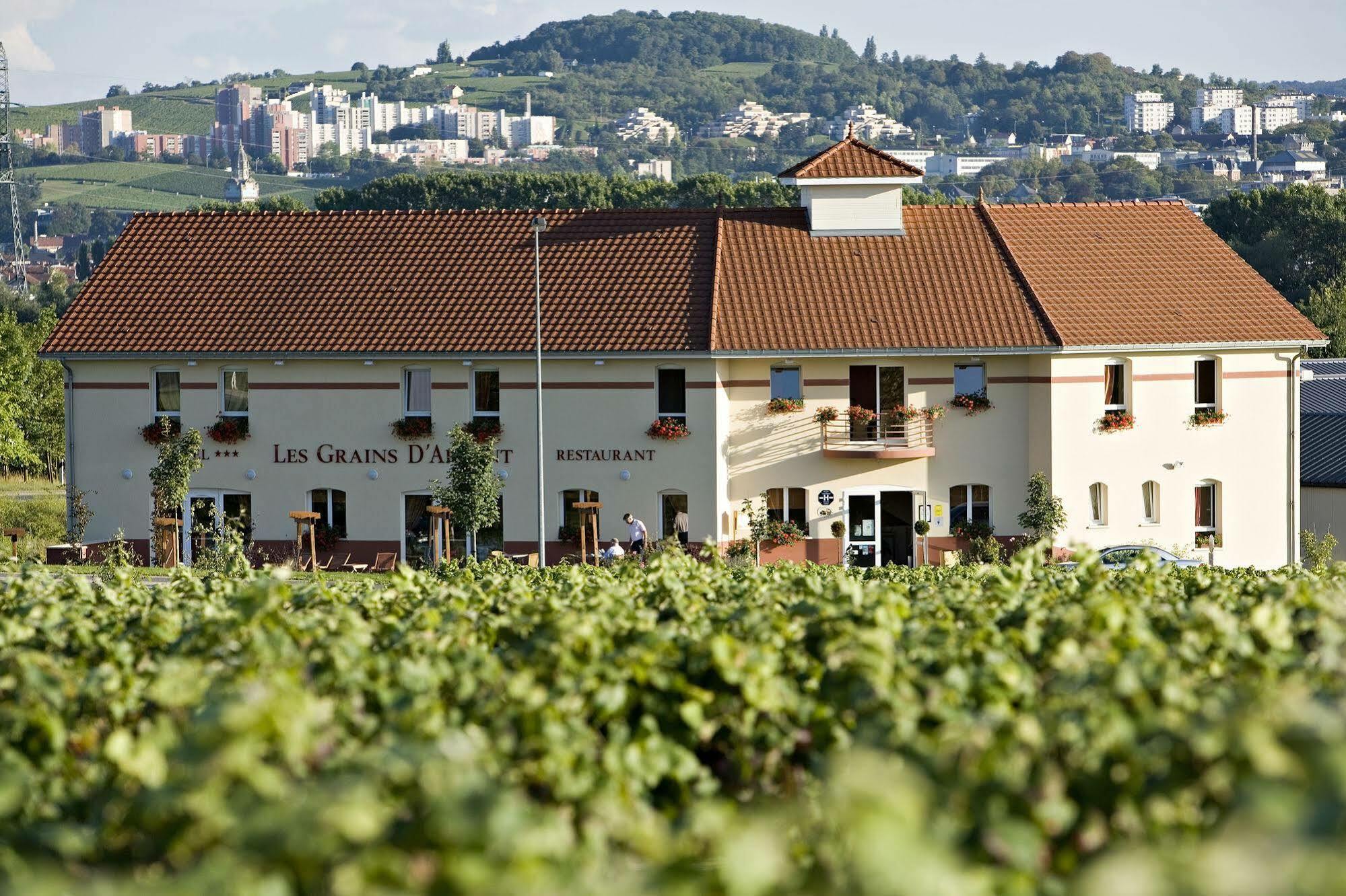 Les Grains D'Argent Dizy - Epernay Hotel Exterior photo